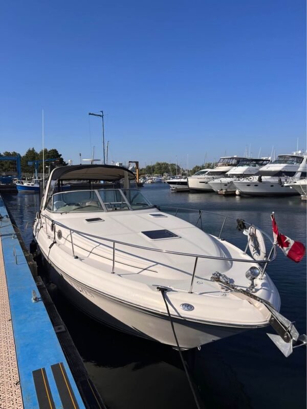 2002 Searay 340 Sundancer Toronto Roberts Yachts and Collectables