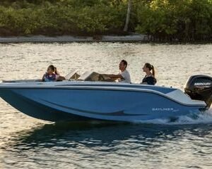 Bayliner M17
